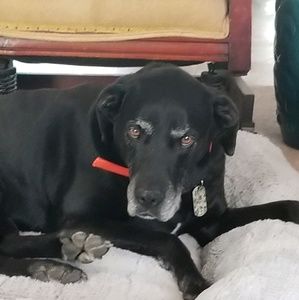 Meet your Posher, Whitney